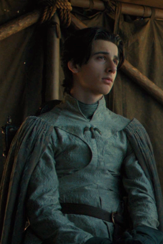 RobinArryn